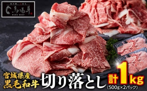 【馬場牛】宮城県産黒毛和牛 切り落とし 1kg(500g×2) 2223323 - 宮城県角田市