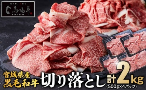 【馬場牛】宮城県産黒毛和牛 切り落とし 2kg(500g×4) 2223325 - 宮城県角田市
