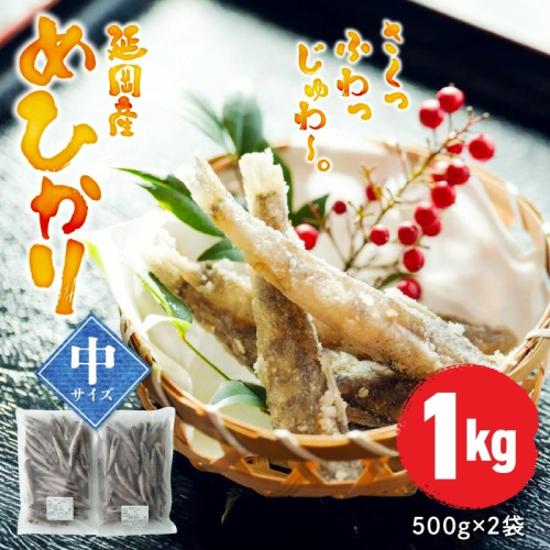 延岡産めひかり無頭中サイズ500g×2袋 N0184-YA2267 2223570 - 宮崎県延岡市