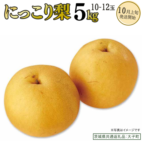 にっこり梨 約5kg (10～12玉)【2026年10月上旬発送開始】(茨城県共通返礼品：大子町) 梨 なし 果物 くだもの フルーツ にっこり 2225032 - 茨城県牛久市