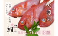 B51-002 【三崎水揚げ】金目鯛３匹セット