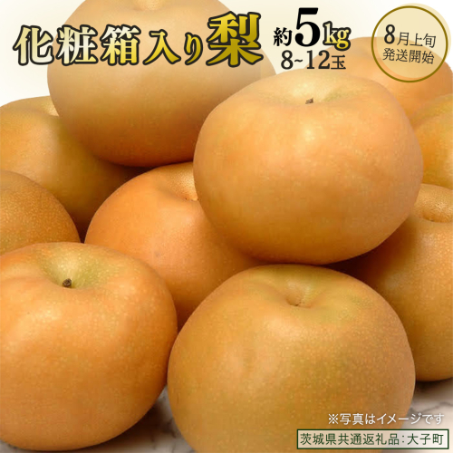 【化粧箱入り】梨 約5kg (8～12玉)【2026年8月上旬発送開始】(茨城県共通返礼品：大子町) なし 果物 くだもの フルーツ おまかせ 旬 2225718 - 茨城県牛久市