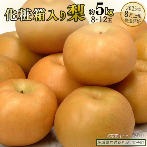 【化粧箱入り】梨 約5kg (8～12玉)【2025年8月上旬発送開始】(茨城県共通返礼品：大子町) なし 果物 くだもの フルーツ おまかせ 旬 2225718 - 茨城県牛久市