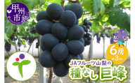 JAフルーツ山梨 甲州市産種なし巨峰6房【100】【2026年発送】C-107