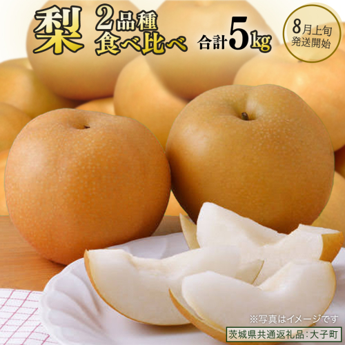 【食べ比べ】 梨 2品種 合計 約5kg 【2026年8月上旬発送開始】 (茨城県共通返礼品：大子町) なし 果物 くだもの フルーツ おまかせ 旬 2225949 - 茨城県牛久市