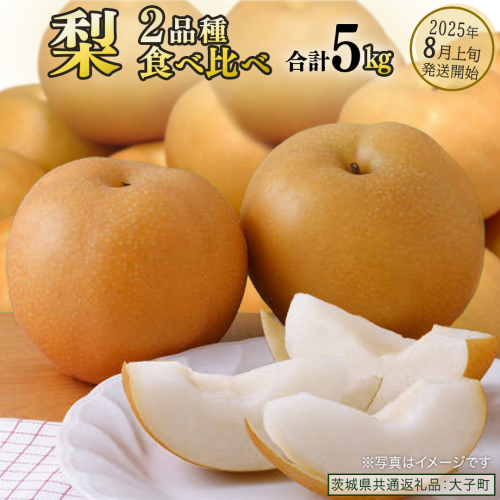 【食べ比べ】 梨 2品種 合計 約5kg 【2025年8月上旬発送開始】 (茨城県共通返礼品：大子町) なし 果物 くだもの フルーツ おまかせ 旬 2225949 - 茨城県牛久市