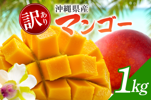 【 先行予約 2026年発送 】訳ありマンゴー 1kg 2226028 - 沖縄県うるま市