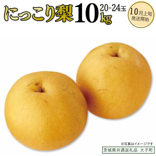 にっこり梨 約10kg (20～24玉)【2026年10月上旬発送開始】(茨城県共通返礼品：大子町) 梨 なし 果物 くだもの フルーツ にっこり 2226040 - 茨城県牛久市