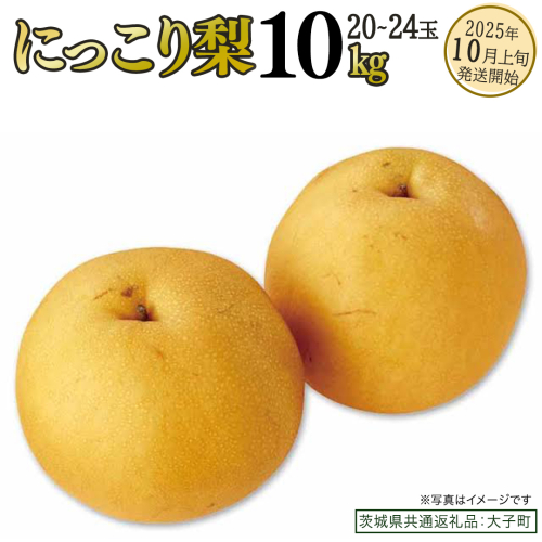 にっこり梨 約10kg (20～24玉)【2025年10月上旬発送開始】(茨城県共通返礼品：大子町) 梨 なし 果物 くだもの フルーツ にっこり 2226040 - 茨城県牛久市