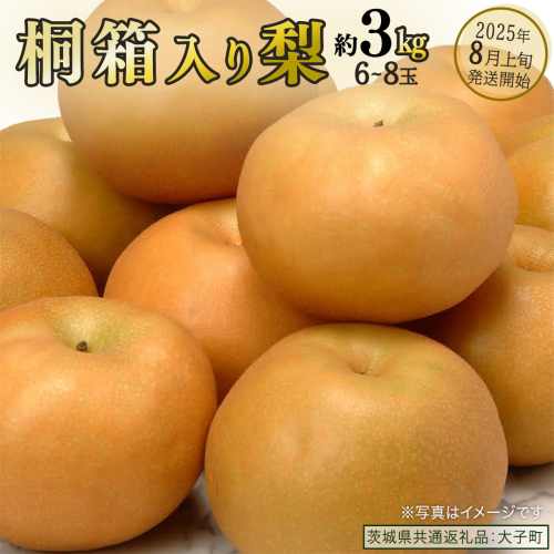【桐箱入り】梨 約3kg (6～8玉) 【2025年8月上旬発送開始】(茨城県共通返礼品：大子町) なし 果物 くだもの フルーツ おまかせ 旬 2226041 - 茨城県牛久市