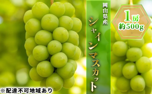 ぶどう 2025年 先行予約 シャイン マスカット 1房 約500g ブドウ 葡萄 岡山県産 国産 フルーツ 果物 ギフト  2226043 - 岡山県里庄町