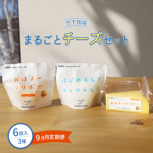 竹下牧場 takeshita farm【定期便9ヶ月】まるごとチーズセット 計560g【24024】 2226069 - 北海道中標津町