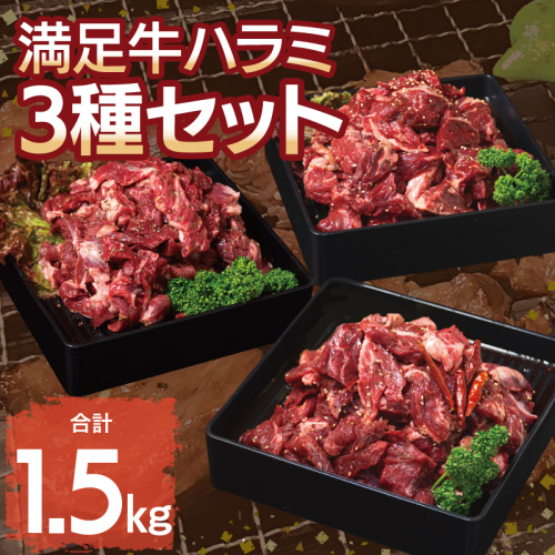 【満足牛ハラミ】3種セット （甘辛タレ漬け・中辛タレ漬け・オリジナルスパイス仕込み） 合計1.5kg 【味付け ハラミ 小分け 焼くだけ 簡単調理 BBQ 牛肉 250g×6P】 015B500 2226080 - 大阪府泉佐野市