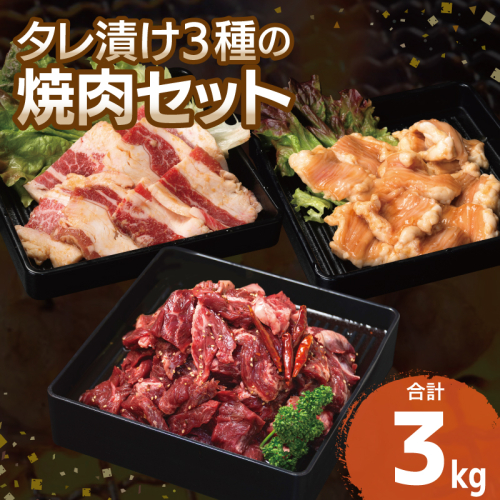 【タレ漬け3種の牛焼肉セット】 満足牛ハラミ・牛カルビ・シマチョウ 合計3kg【味付け ハラミ 小分け 焼くだけ 簡単調理 BBQ 牛肉 250g×各4P】 099H3716 2226084 - 大阪府泉佐野市