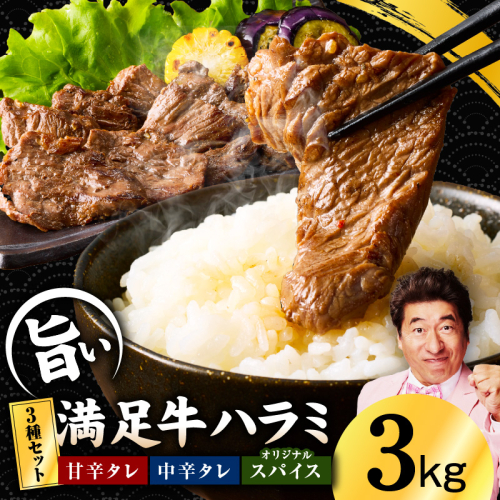 【満足牛ハラミ】3種セット （甘辛タレ漬け・中辛タレ漬け・オリジナルスパイス仕込み）  合計3kg 【味付け ハラミ 小分け 焼くだけ 簡単調理 BBQ 牛肉 250g×12P】 G3403 2226085 - 大阪府泉佐野市