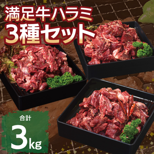 【満足牛ハラミ】3種セット （甘辛タレ漬け・中辛タレ漬け・オリジナルスパイス仕込み）  合計3kg 【味付け ハラミ 小分け 焼くだけ 簡単調理 BBQ 牛肉 250g×12P】 099H3702 2226085 - 大阪府泉佐野市