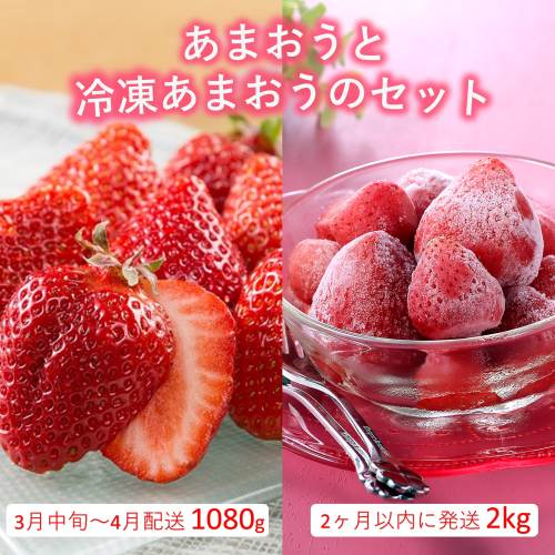B384.あまおう約1,080gと冷凍あまおう約2kgのセット【あまおう】 2226099 - 福岡県新宮町