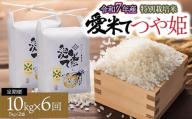 【令和7年産先行予約】【6ヶ月定期便】特別栽培米 つや姫　10kg（5Kg×2袋）× 6ヶ月　山形県鶴岡市産　愛米て
