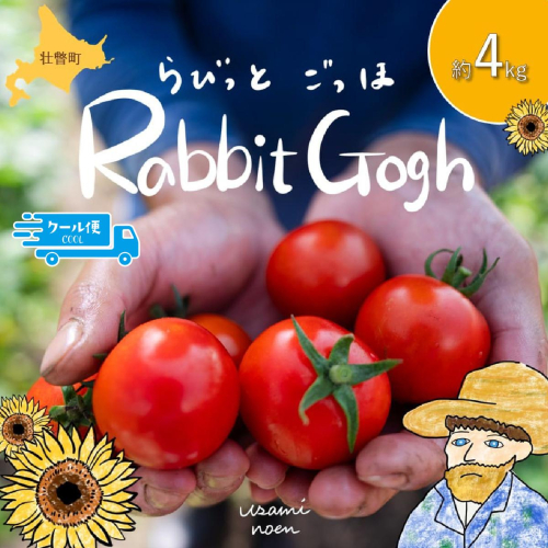 【2026年予約】極旨トマトクール便 北海道壮瞥町産 ラビットゴッホ4kg 中玉トマト SBTAJ005 2226175 - 北海道壮瞥町
