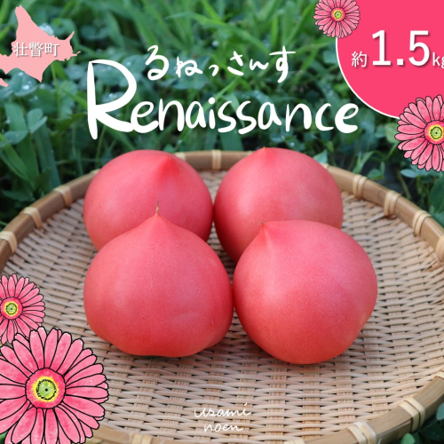 北海道壮瞥町産 ルネッサンス1.5kg トマト SBTAJ007 2226177 - 北海道壮瞥町