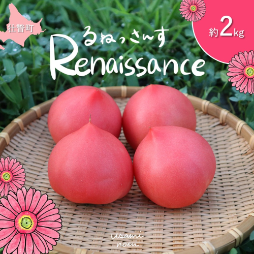 北海道壮瞥町産 ルネッサンス2kg トマト SBTAJ008 2226178 - 北海道壮瞥町