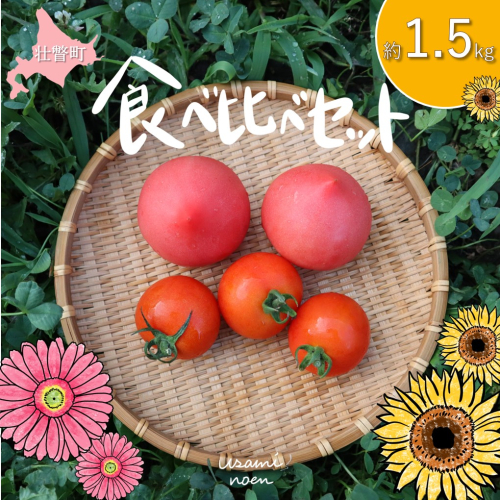 北海道壮瞥町産 トマト食べ比べ2種セット1.5kg(ラビットゴッホ＆ルネッサンス) SBTAJ012 2226182 - 北海道壮瞥町