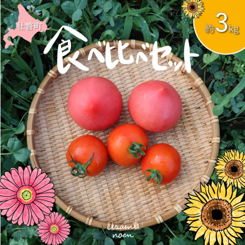 北海道壮瞥町産 トマト食べ比べ2種セット3kg(ラビットゴッホ＆ルネッサンス) SBTAJ014 2226184 - 北海道壮瞥町