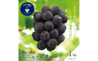 岡山　花笑み農園の『ニューピオーネ』1kg(2房)　P-1＜9月上旬～順次発送＞【1650729】