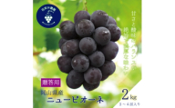 岡山　花笑み農園の『ニューピオーネ』贈答用　約2kg(3～4房)　P-2＜9月上旬～順次発送＞【1650734】