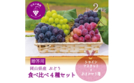 岡山　花笑み農園の『食べ比べ4種セット』シャイン入り(4房)贈答用　4M-2上＜9月中旬～順次発送＞【1650752】