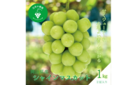 岡山　花笑み農園の 『シャインマスカット』1kg(2房)　S-1＜9月下旬～順次発送＞【1650754】