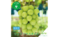 岡山　花笑み農園の『シャインマスカット』家庭用　2kg(3～5房)　S-2＜9月下旬～順次発送＞【1650758】