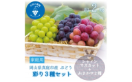 岡山　花笑み農園『彩り3種セット』(シャイン、クイーンニーナ、ピオーネ)(3房)家庭用　3M-2家【1650759】