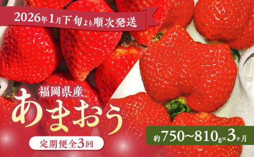 あまおう 定期便 3回 【2026年1月下旬より順次発送】【3ヶ月定期便】あまおう 3パック×3回 イチゴ 苺 いちご 果物 福岡県産 ※配送不可:離島 2226680 - 福岡県大刀洗町