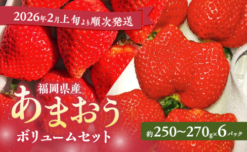 あまおう 【2026年2月上旬より順次発送】 あまおうボリュームセット 6パック イチゴ 苺 いちご 果物 福岡県産 ※配送不可:離島 2226681 - 福岡県大刀洗町