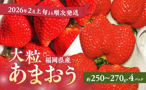 あまおう 【2026年2月上旬より順次発送】大粒あまおう 4パック イチゴ 苺 いちご 果物 福岡県産 ※配送不可:離島 2226682 - 福岡県大刀洗町