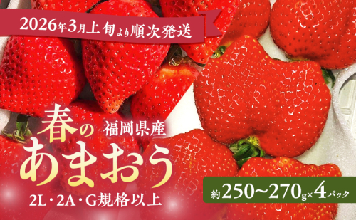 あまおう 【2026年3月上旬より順次発送】春のあまおう(2L・2A・G規格以上 4パック) イチゴ 苺 いちご 果物 福岡県産 ※配送不可:離島 2226683 - 福岡県大刀洗町