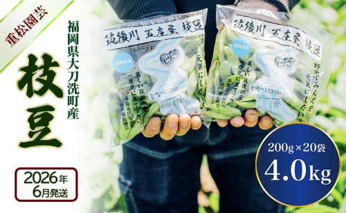 枝豆 【2026年6月発送】枝豆200g×20袋 合計4kg 福岡県大刀洗町産 豆 えだまめ 焼き枝豆 お弁当 おつまみ ※配送不可:北海道・沖縄・離島 2226690 - 福岡県大刀洗町