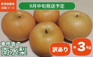 【訳あり】南水 約3kg ［新規就農者応援コース 幸作会］ 梨 なし フルーツ 果物 ワケアリ 傷 キズ 不揃い 規格外 家庭用 長野県産 信州 数量限定 【2025年9月中旬発送】［K-41］