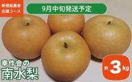 梨 南水 約3kg ［新規就農者応援コース 幸作会］ 梨 なし フルーツ 果物  長野県産 信州 数量限定 【2025年9月中旬発送】［K-42］