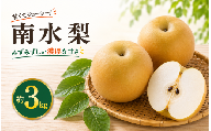先行受付 南水(有袋美品)約3kg [2026年9月中旬〜10月中旬発送][新規就農者応援コース 幸作会]| 梨 なし フルーツ 果物 南水 長野県産 信州 小布施町[K-42]