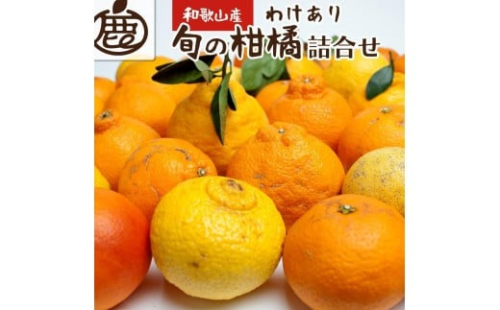 ［先行予約］家庭用 柑橘詰合せ10kg+250g（傷み補償分）［訳あり わけあり］［有田の春みかん詰め合わせ・フルーツ詰め合せ・オレンジつめあわせ］［光センサー選別］［IKE261］ 2226998 - 和歌山県上富田町