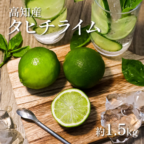 TSF001-1　タヒチライム 約1.5kg ライム 国産 種なし 柑橘類 かんきつ類 防腐剤不使用 ノーワックス 新鮮 冷蔵 家庭用 果物 くだもの フルーツ 芸西村 高知県産 2227006 - 高知県芸西村