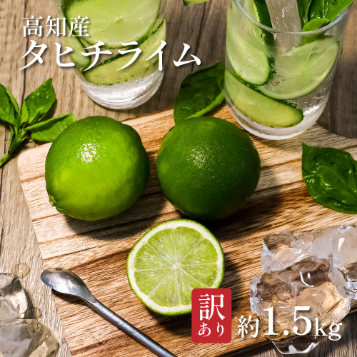 TSF002-1　訳ありタヒチライム 約1.5kg ライム 国産 種なし 柑橘類 かんきつ類 防腐剤不使用 ノーワックス 新鮮 冷蔵 家庭用 果物 くだもの フルーツ 芸西村 高知県産 2227007 - 高知県芸西村