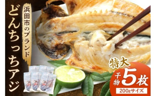 浜田市のブランド「どんちっちアジ」干物特大（200gサイズ）5枚個包装 魚介類 干物 干もの 開き あじ 厳選 海鮮 セット 個包装【019_1952】 2227371 - 島根県浜田市