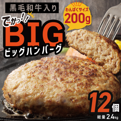 【auPAYふるさと納税限定】 黒毛和牛入り BIGハンバーグ 総量2.4ｋg（200g×12個） G1733 2227396 - 大阪府泉佐野市