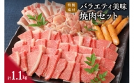 伊万里牛 バラエティ美味 焼肉セット 牛肉 豚肉 鶏肉 1.1kg J298
