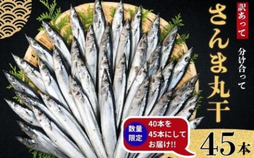さんま サンマ 秋刀魚 45尾 数量限定 増量 中 訳あって さんま丸干 40本 分け合って 訳あり さんま 丸干し 10000円 冷凍 さんま サンマ 秋刀魚 無添加 国産 北海道産 さんま 国内加工 銚子 海の幸 海鮮 干物 冷凍 新鮮 贈り物 ギフト お取り寄せ 人気 グルメ ビール 日本酒 酒 おつまみ 酒の肴 敬老の日 千葉県 銚子市 ヤマニンベン 