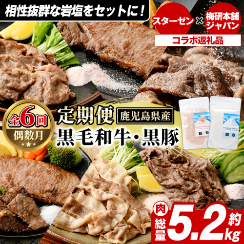 ＜定期便・全6回＞岩塩付き！鹿児島県産黒毛和牛・黒豚定期便 (肉：総量約5.2kg/岩塩：600g) 国産 九州産 鹿児島産 牛肉 国産牛 豚肉 セット サーロイン ステーキ 切り落とし 切落し コラボ ピンク 岩塩 【スターゼン×梅研本舗ジャパン】akn501-04 2228863 - 鹿児島県阿久根市