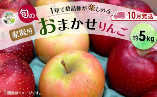 【10月発送】 家庭用 旬のりんご 品種おまかせ 約 5kg 2品種～4品種 りんご リンゴ 林檎 アップル おまかせ ランダム 旬 青森県産 青森県 西目屋村 2228913 - 青森県西目屋村